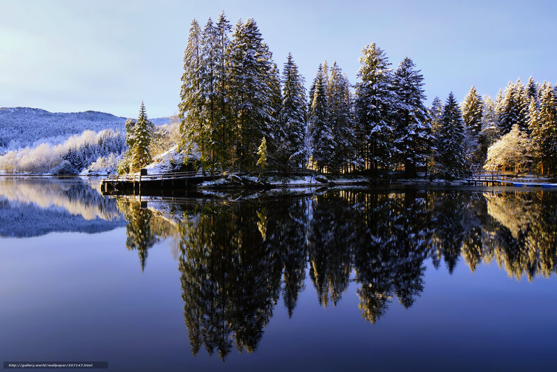 Snow-covered Trees on Island — Blue, Serene, Winter, Photograph, Lake