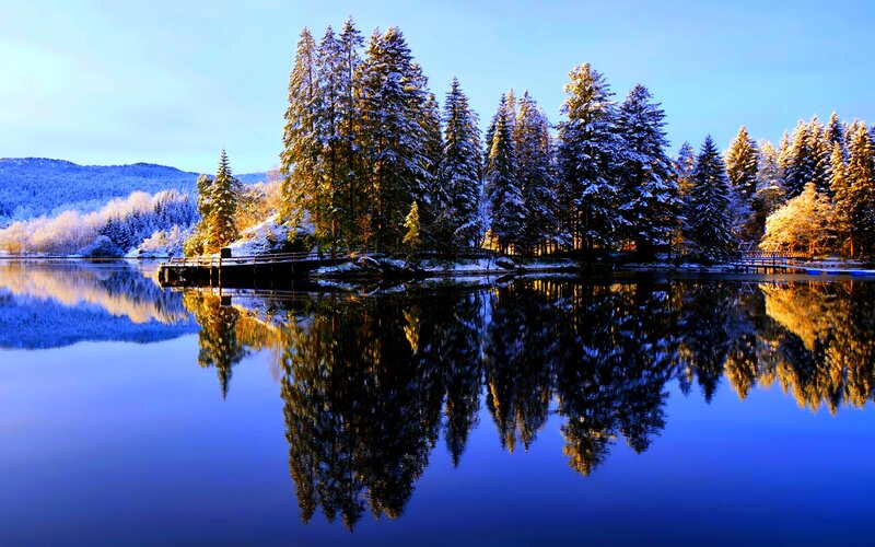 Snow-covered Trees on Island — Blue