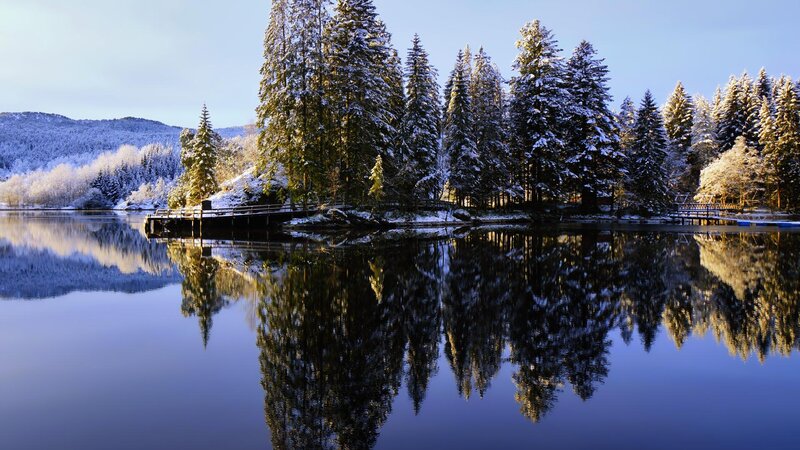 Snow-covered Trees on Lake — Blue