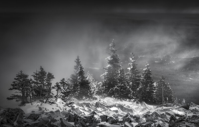 Snow-covered Trees on Mountain — Black