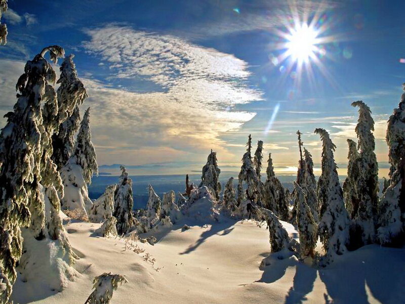 Snow-covered Trees on Mountain — Blue, Bright