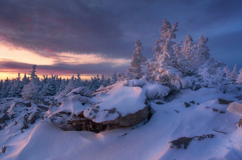 Snow-covered Trees on Mountain — Blue, Serene, Sunset