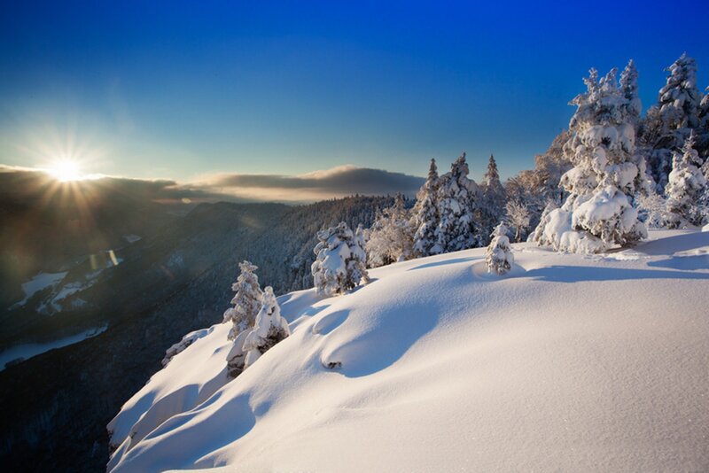 Snow-covered Trees on Mountain — Blue, Serene