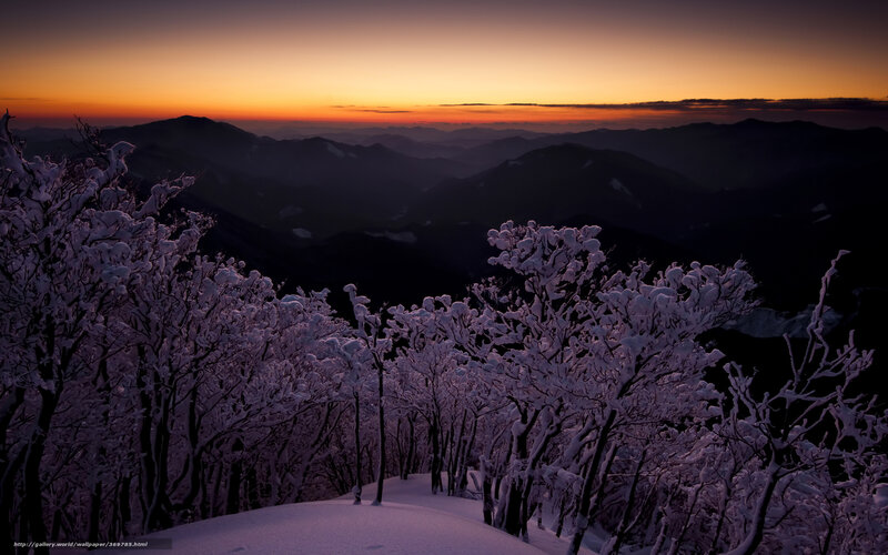 Snow-covered Trees on Mountain — Purple, Serene, Sunset