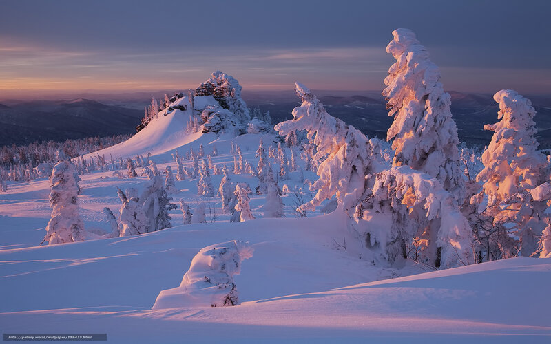 Snow-covered Trees on Mountain — White, Serene, Sunset, Photograph
