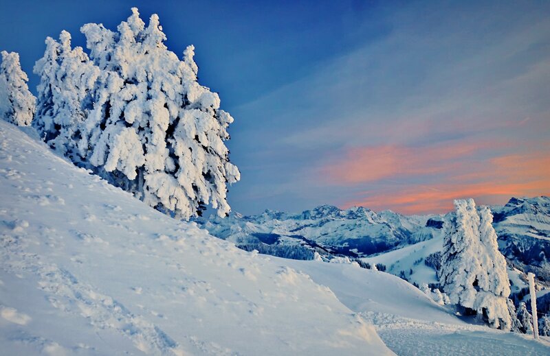 Snow-covered Trees on Mountain — White, Serene, Sunset