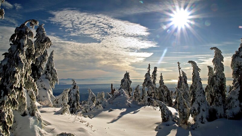 Snow-covered Trees on Mountain — White, Serene