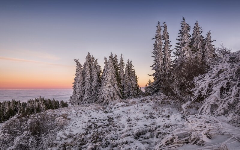 Snow-covered Trees on Mountain — White, Serene, Winter, Photograph, Clouds, Sky