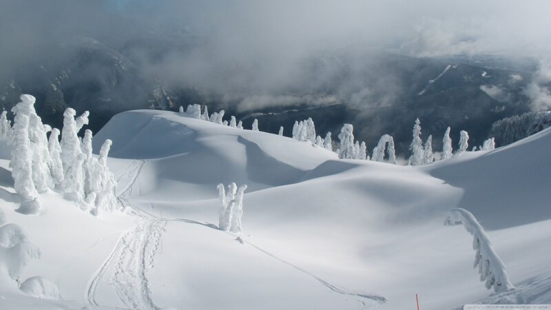 Snow-covered Trees on Mountain — White, Serene, Winter, Photograph, Mountains, Clouds