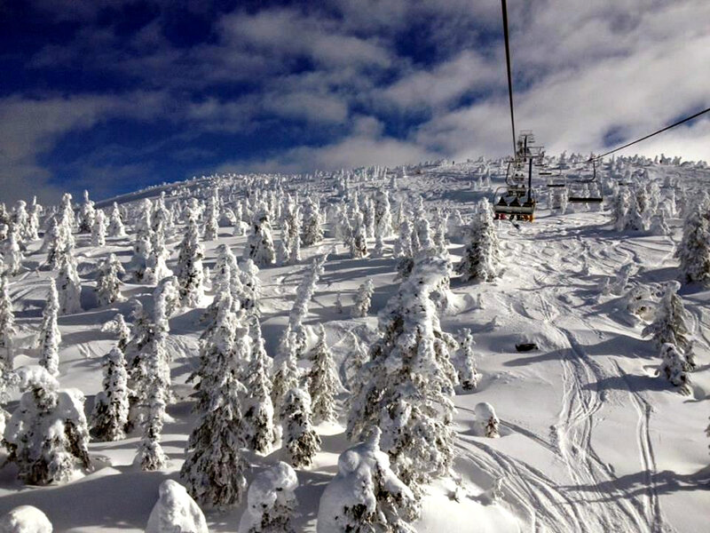 Snow-covered Trees on Mountain — White, Serene, Winter, Photograph, Ski Lift