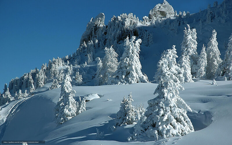 Snow-covered Trees on Mountain — White, Serene, Winter, Photograph, Sky