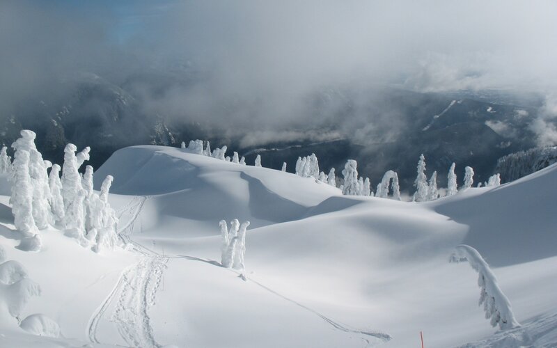 Snow-covered Trees on Mountain — White, Serene, Winter, Photograph, Snow, Mountains
