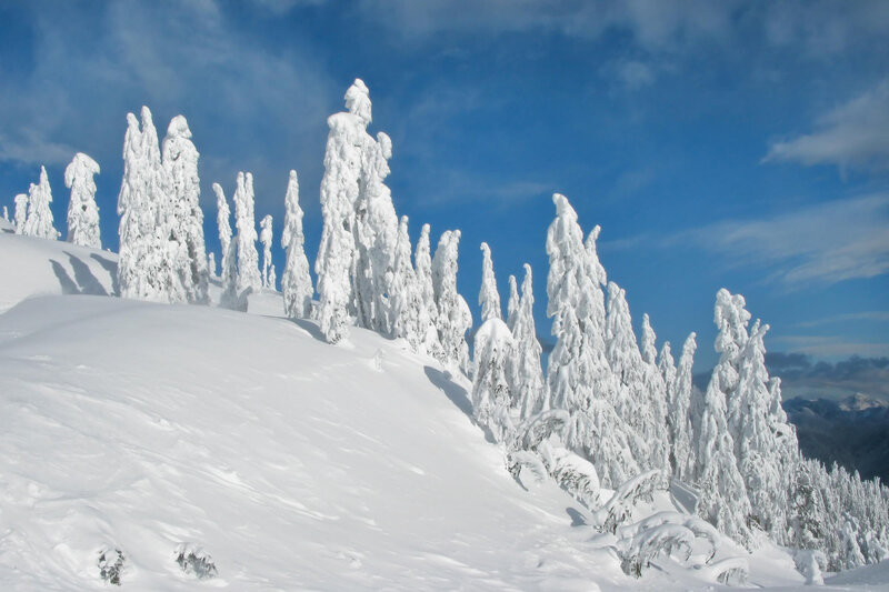 Snow-covered Trees on Mountain — White, Serene, Winter, Photograph, Snow, Sky, Blue