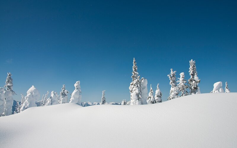 Snow-covered Trees on Mountain — White, Serene, Winter, Photograph, Snow, Sky, Mountains
