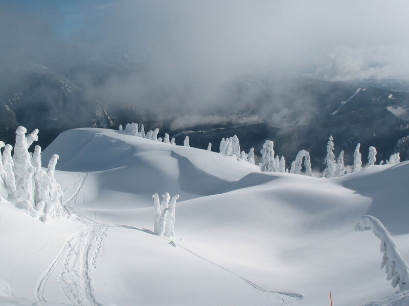 Snow-covered Trees on Mountain — White