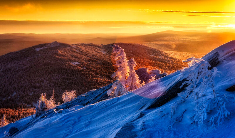 Snow-covered Trees on Mountain — Yellow