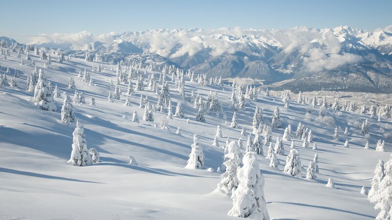 Snow-covered Trees on Slope — White, Serene, Winter, Photograph, Mountains, Clouds, Snow