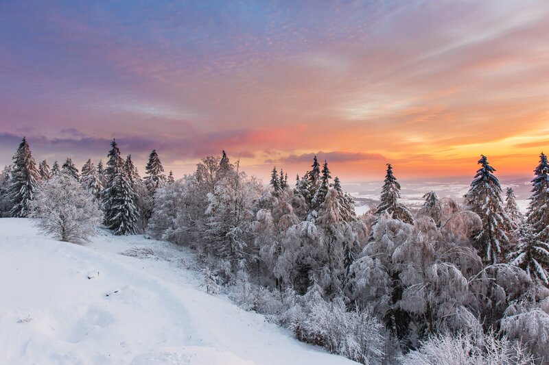 Snow-covered Trees — Orange, Serene, Sunset, Photograph