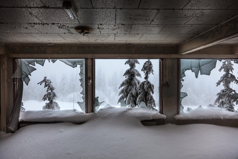 Snow-covered Trees Outside