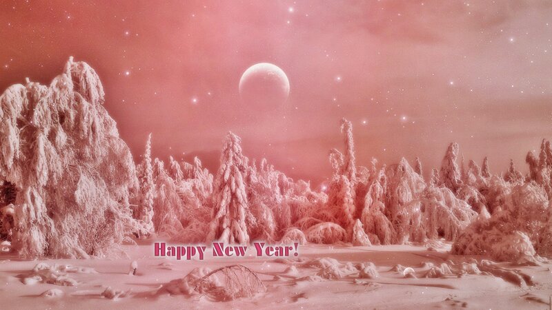 Snow-covered Trees — Pink, Serene, Night
