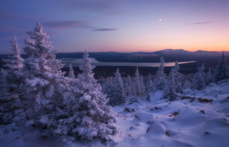 Snow-covered Trees — Purple, Serene, Sunset, Photograph, Mountains, Lake