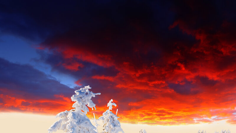 Snow-covered Trees — Red, Dramatic, Sunset, Photograph