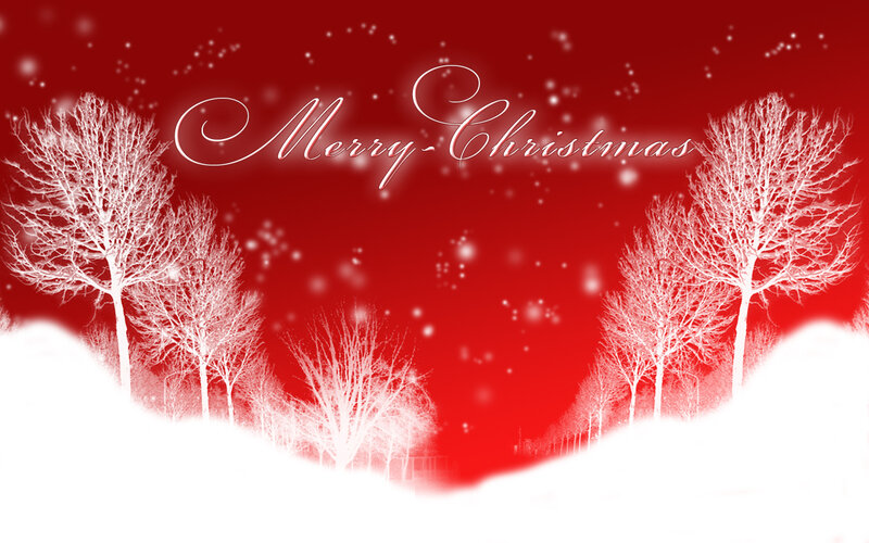 Snow-covered Trees — Red, Festive