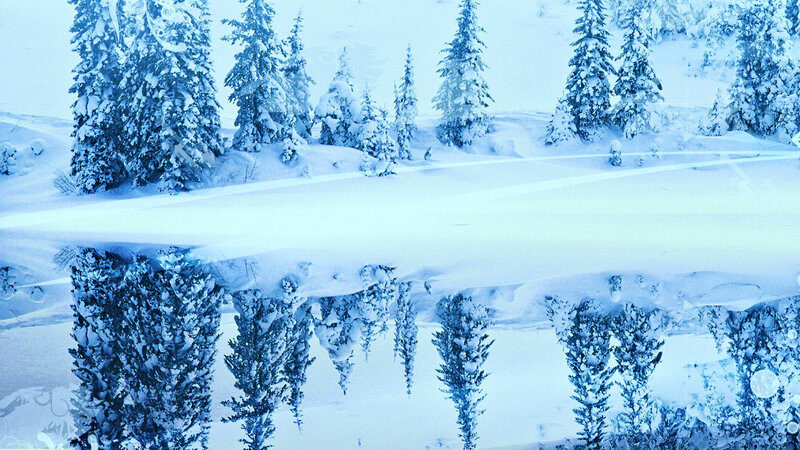 Snow-covered Trees Reflection — Blue
