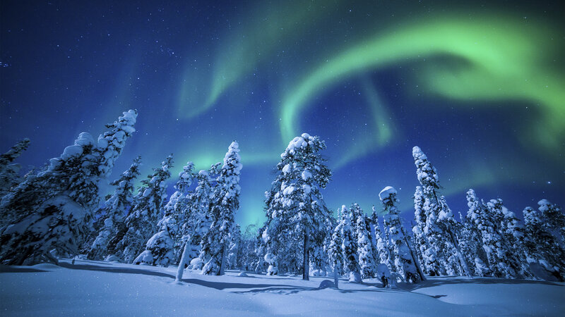 Snow-covered Trees under Aurora — Blue