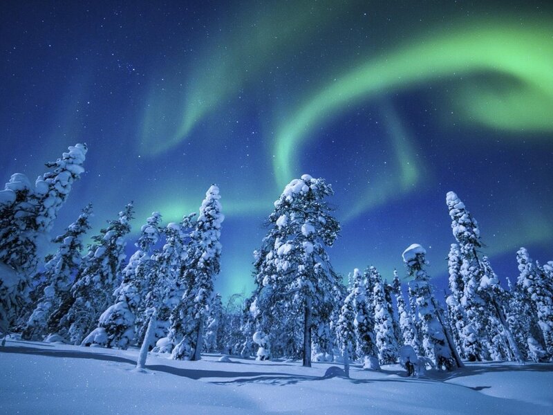 Snow-covered Trees under Aurora — Green