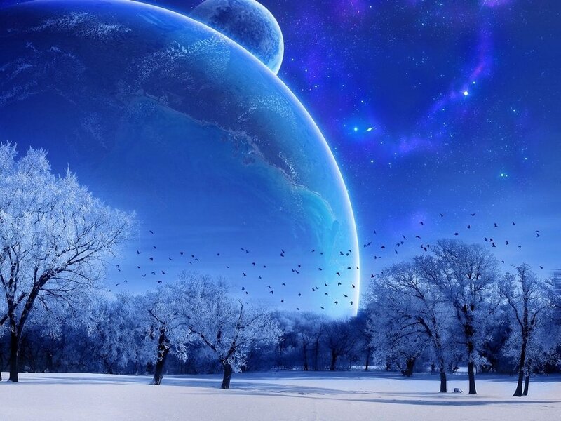 Snow-covered Trees under Planets