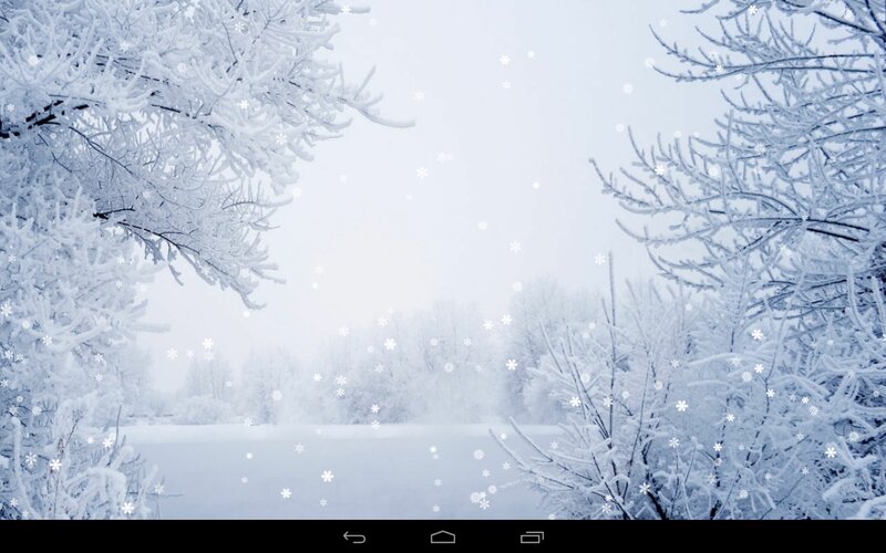 Snow-covered Trees — White, Calm, Winter, Photograph, Snow, River