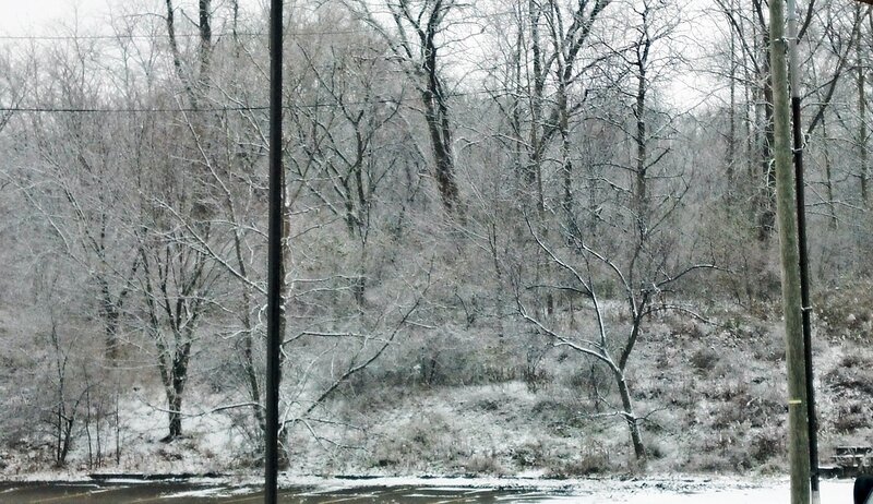 Snow-covered Trees — White, Cold, Winter, Photograph, Power Lines, Pole
