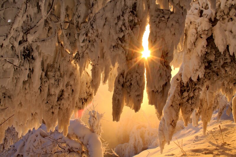 Snow-covered Trees — White, Dramatic, Sunrise