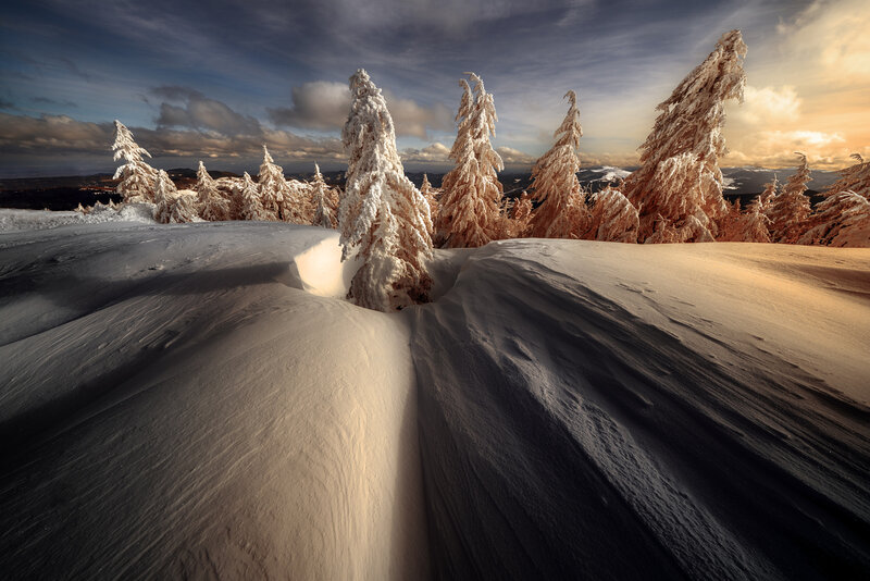 Snow-covered Trees — White, Dramatic, Sunset, Photograph, Snow