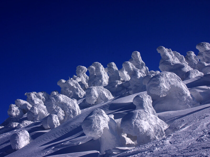 Snow-covered Trees — White, Dramatic
