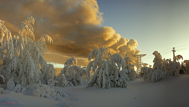 Snow-covered Trees — White, Dramatic, Winter, Photograph, Clouds