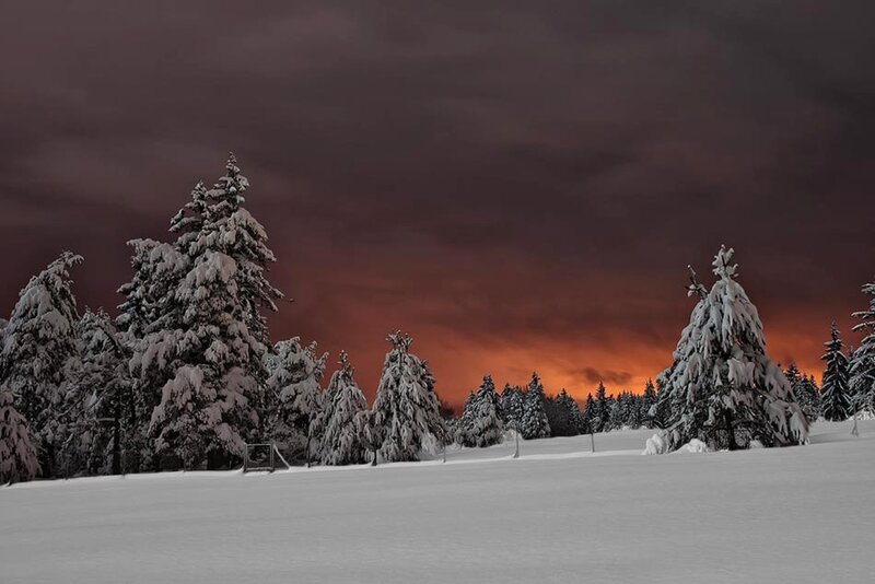 Snow-covered Trees — White, Dramatic, Winter, Photograph, Snow, Sky