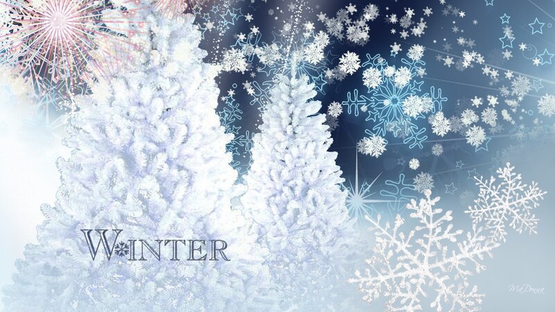 Snow-covered Trees — White, Festive