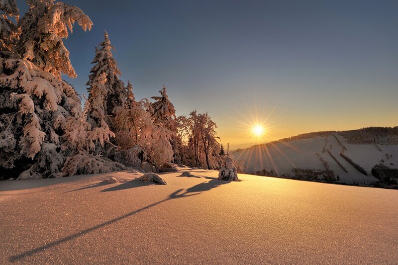 Snow-covered Trees — White, Serene, Sunrise