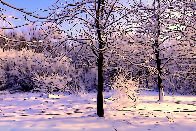 Snow-covered Trees — White, Serene, Winter, Digital Art