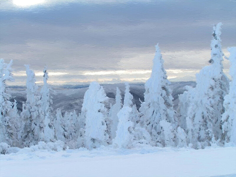 Snow-covered Trees — White, Serene, Winter, Painting, Mountains