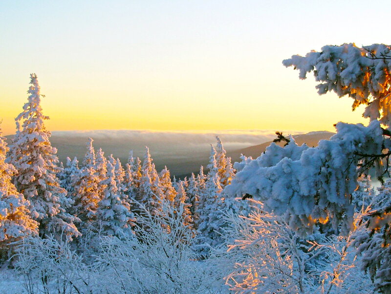 Snow-covered Trees — White, Serene, Winter, Photograph, Clouds