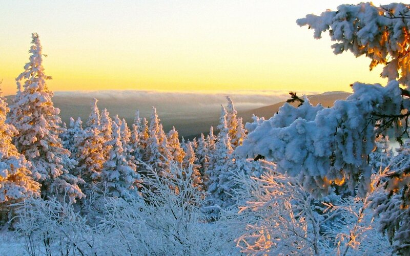 Snow-covered Trees — White, Serene, Winter, Photograph, Mountains, Clouds
