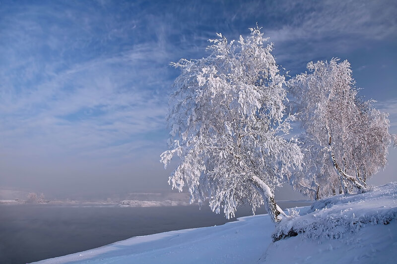 Snow-covered Trees — White, Serene, Winter, Photograph, River, Sky