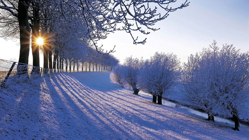 Snow-covered Trees — White, Serene, Winter, Photograph, Sun, Fence, River