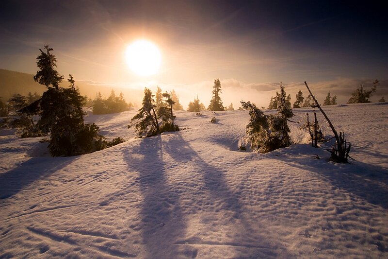 Snow-covered Trees — White, Serene, Winter, Photograph, Sun, Mountain