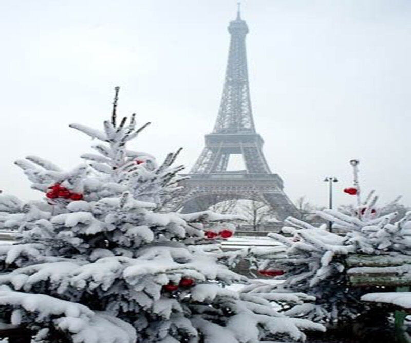 Snow-covered Trees with Eiffel Tower