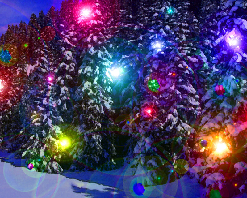 Snow-covered Trees with Lights — Blue, Festive