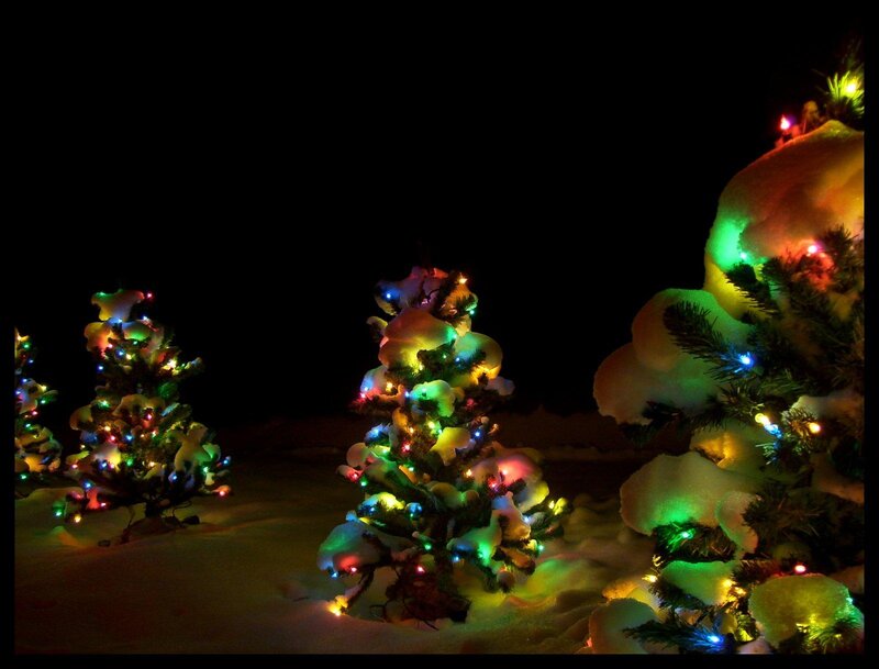 Snow-covered Trees with Lights — Green